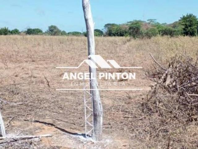 Terreno en venta en Maracaibo, Zulia