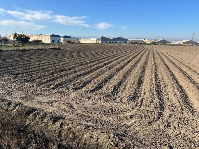 Terreno en venta en Comarca de la Vega de Granada, Andalucía