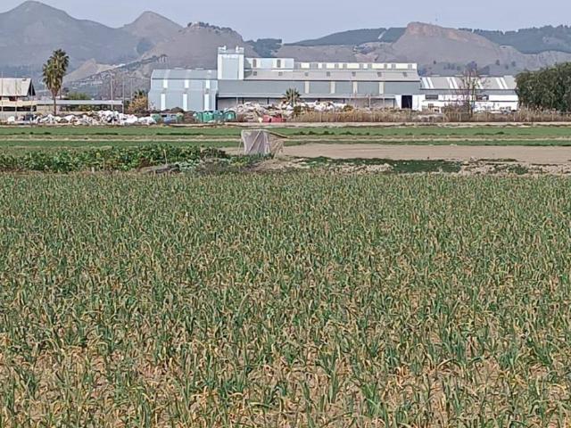 Terreno en venta en Maracena