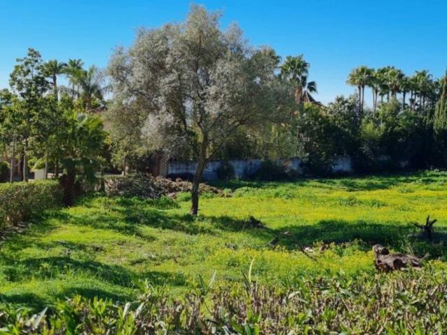 Terreno en venta en Marbella, Nagüeles