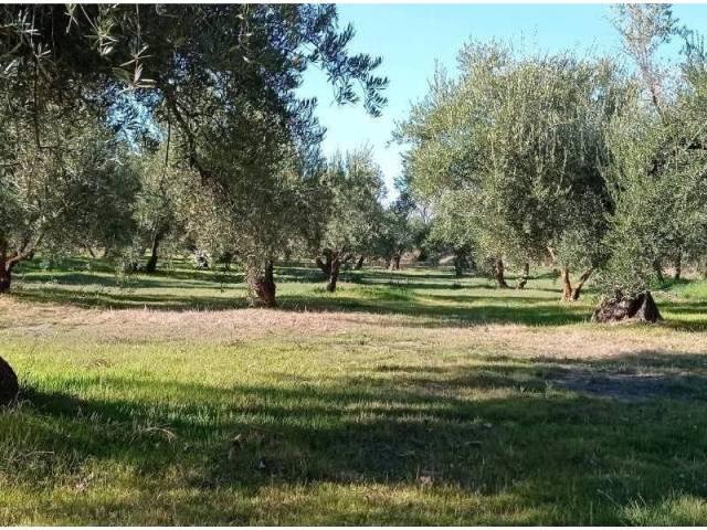 Terreno en venta en Comarca de Guadix, Andalucía