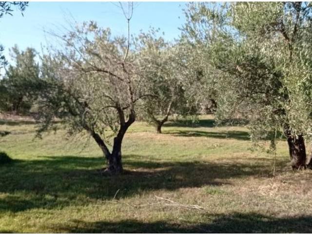 Terreno en venta en Comarca de Guadix, Andalucía