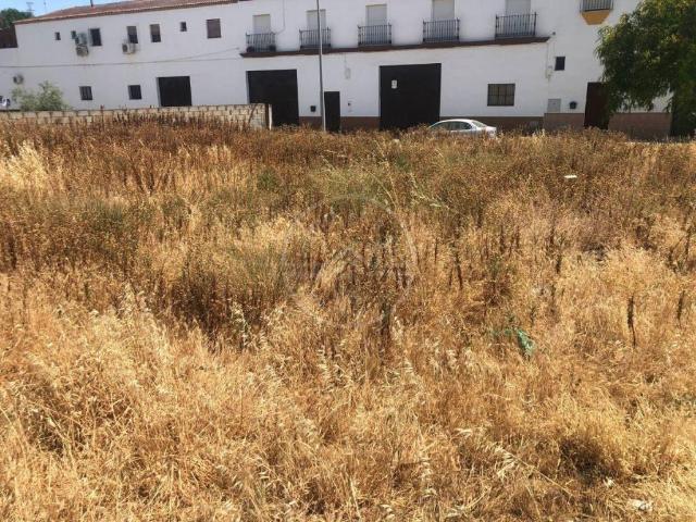 Terreno en venta en Marchena, Andalucía