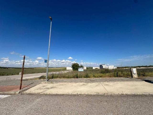 Terreno en venta en Marchena, Andalucía