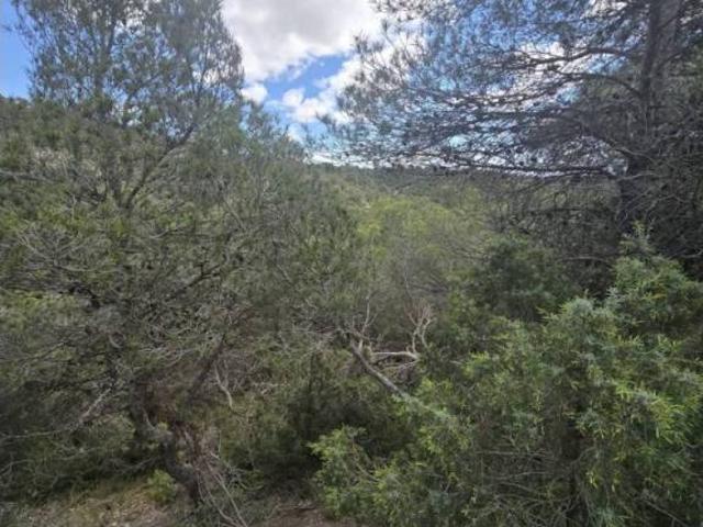 Terreno en venta en Zaragoza, Aragón