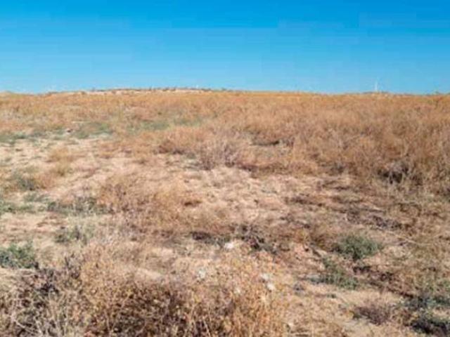 Terreno en venta en Paso de Los Carros, María de Huerva