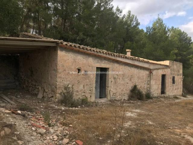 Terreno en venta en Maria De La Salut Terreno en venta en Maria De La Salut