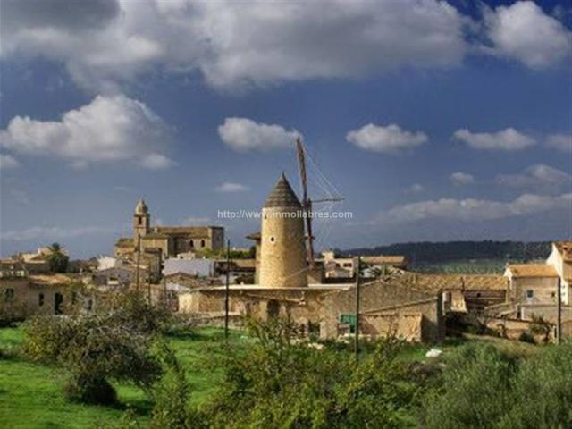 Terreno en venta en Maria De La Salut Terreno en venta en Maria De La Salut