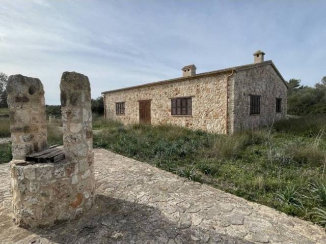 Terreno en venta en Pla de Mallorca, Baleares