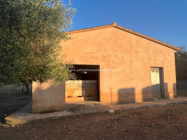 Terreno en venta en Maria De La Salut Terreno en venta en Maria De La Salut