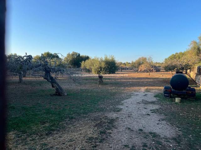 Terreno en venta en Pla de Mallorca, Baleares