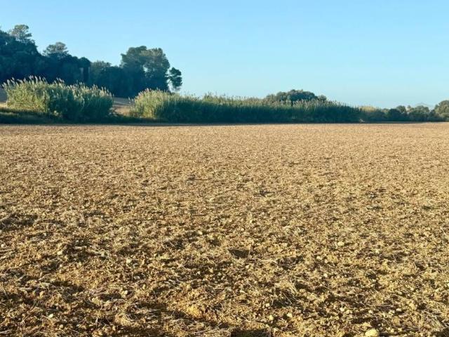 Terreno en venta en Pla de Mallorca, Baleares
