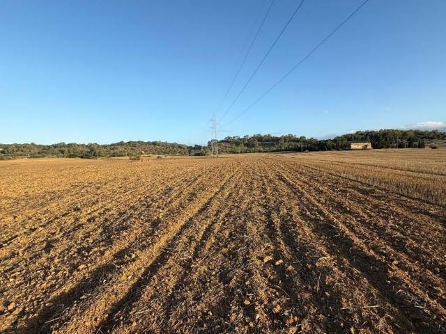 Terreno en venta en Pla de Mallorca, Baleares
