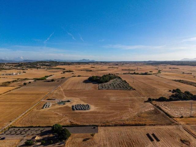 Terreno en venta en Pla de Mallorca, Baleares