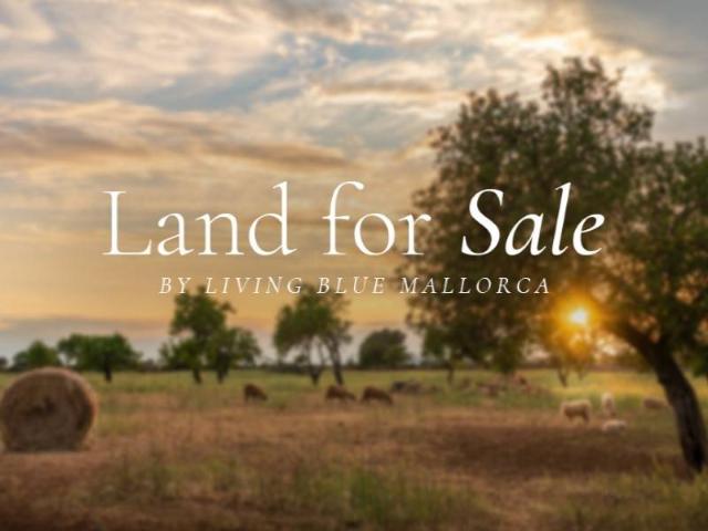 Terreno en venta en Pla de Mallorca, Baleares