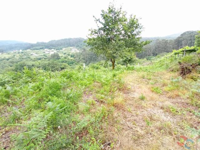 Terreno en venta en Marín