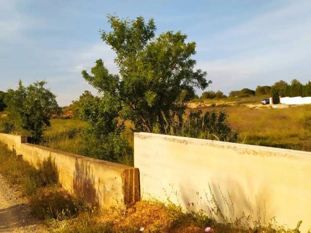 Terreno en venta en el Camp de Túria, Valencia