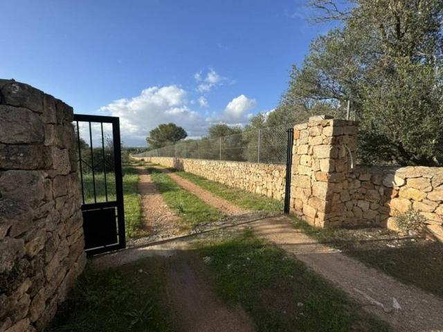 Terreno en venta en Marratxí