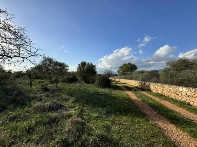 Terreno en venta en Raiguer, Baleares