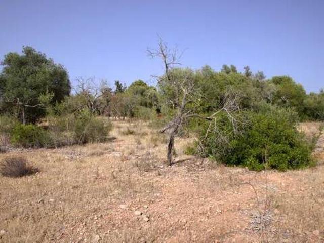 Terreno en venta en Raiguer, Baleares