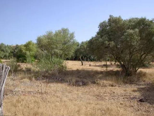 Terreno en venta en Raiguer, Baleares