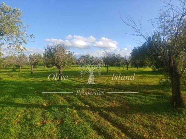 Terreno en venta en Raiguer, Baleares