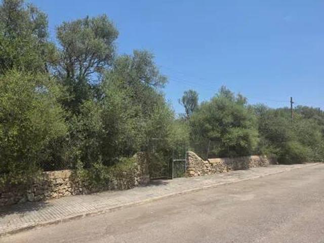 Terreno en venta en Raiguer, Baleares