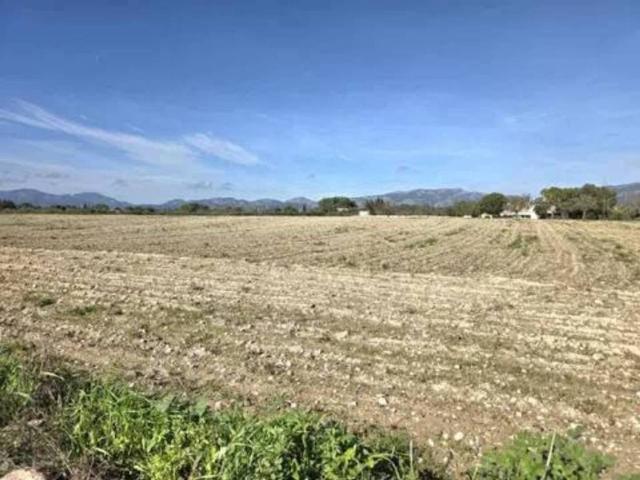 Terreno en venta en Raiguer, Baleares