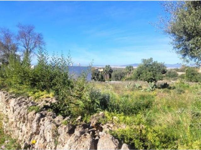 Terreno en venta en Raiguer, Baleares