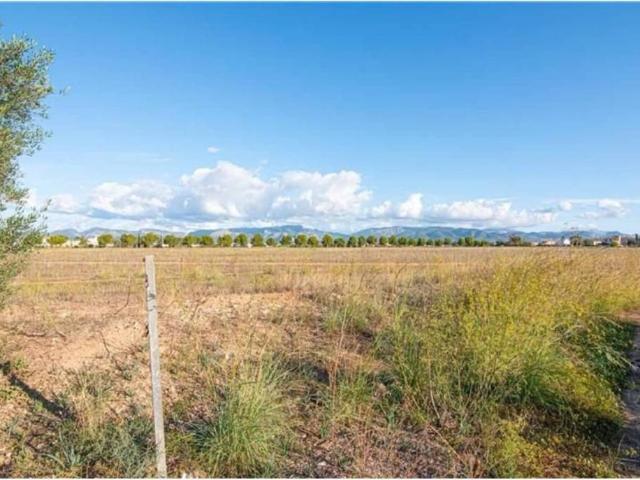 Terreno en venta en Marratxí