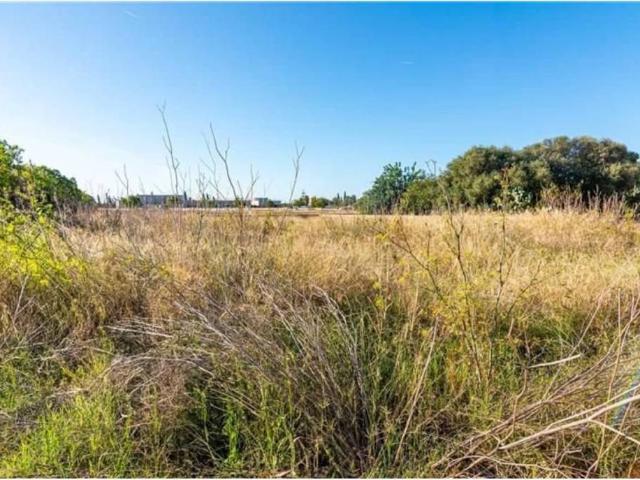 Terreno en venta en Marratxí