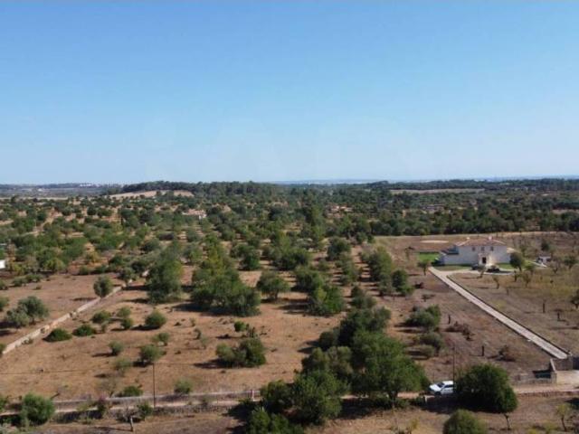 Terreno en venta en Raiguer, Baleares