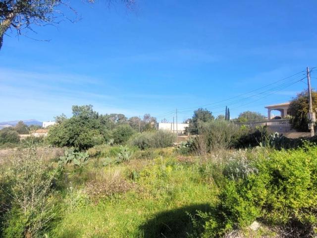 Terreno en venta en Marratxí