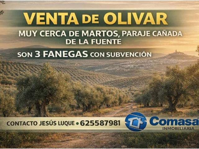 Terreno en venta en Martos, Jaén