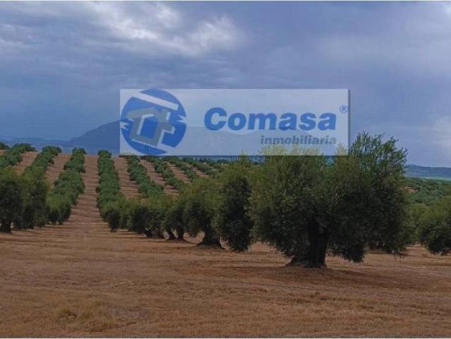 Terreno en venta en Martos, Andalucía