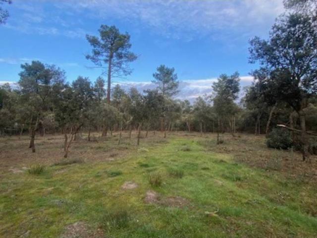 Terreno en venta en Marugán, Castilla y León