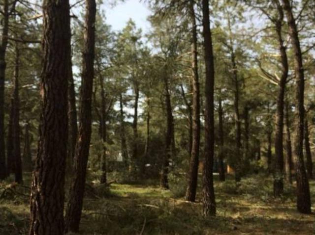 Terreno en venta en Marugán, Castilla y León