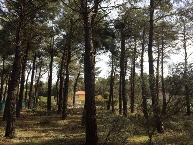 Terreno en venta en Marugán, Castilla y León