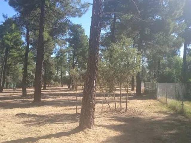Terreno en venta en Marugán, Castilla y León