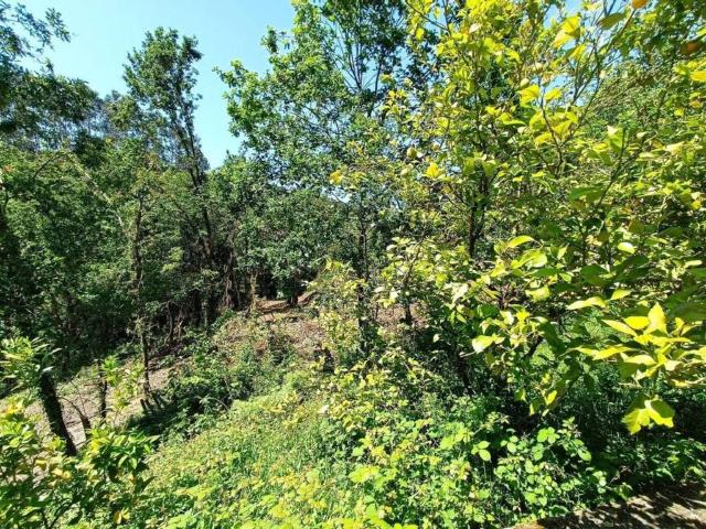 Terreno en venta en Maruri-jatabe, Guipúzcoa