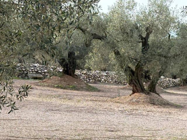 Terreno en venta en Montsià, Catalunya