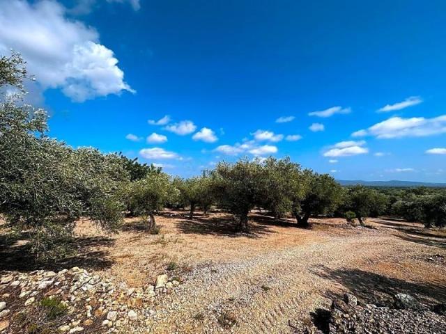 Terreno en venta en Montsià, Catalunya