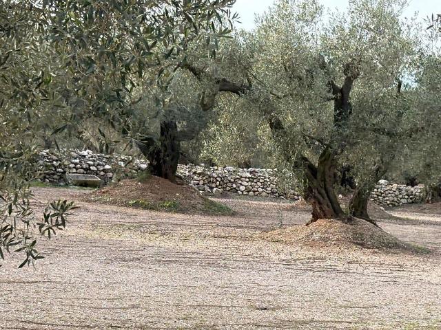 Terreno en venta en Montsià, Catalunya