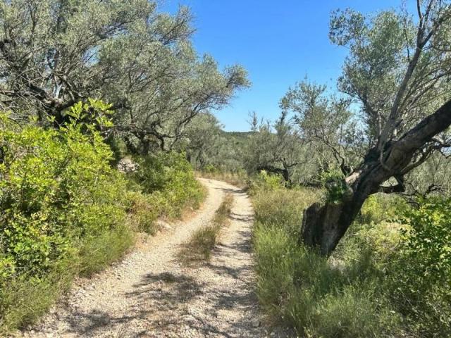 Terreno en venta en Montsià, Catalunya