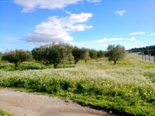 Terreno en venta en Alt Empordà, Catalunya
