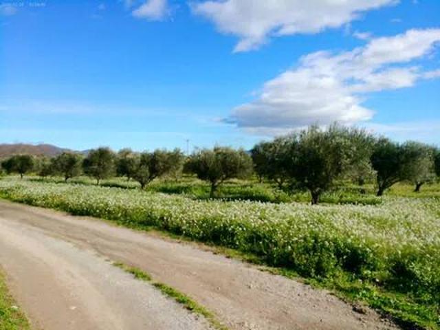 Terreno en venta en Alt Empordà, Catalunya