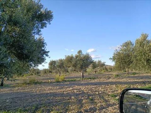 Terreno en venta en Mascaraque, Castilla-La Mancha