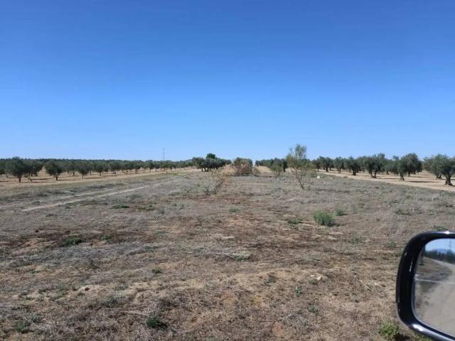 Terreno en venta en Mascaraque, Castilla-La Mancha