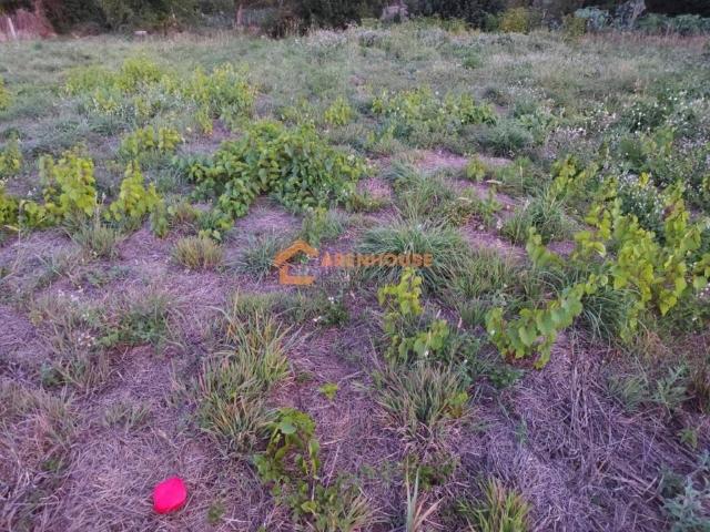 Terreno en venta en O Carballiño, Galicia