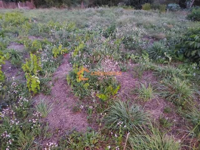 Terreno en venta en Maside, Ourense